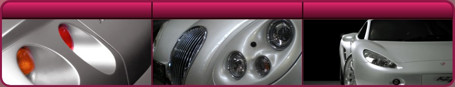 Spot Repair, Restauration, Hagelschden in Backnang - Bafaro.